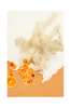Juliste The Art of taste 8