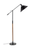 Lattiavalaisin Polus