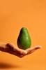 Juliste Avocado