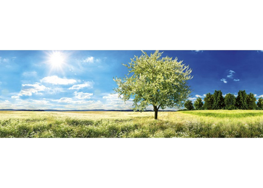 Keittiön välitila Blossom Tree 260x60 cm