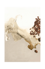 Juliste The Art of taste 7