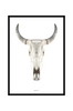 Taulu Cow skull