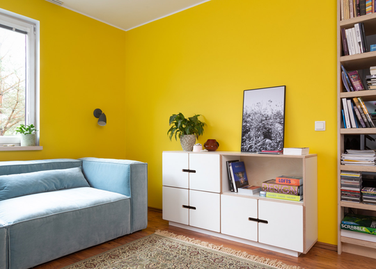Radis lipasto Pix