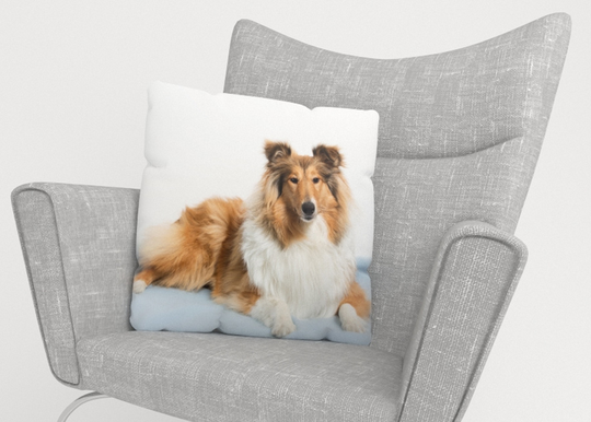 Koristetyynyliina Beautiful Collie 50x50 cm