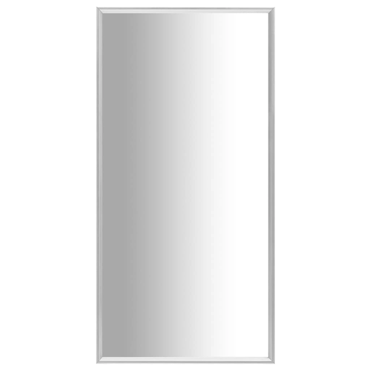 vidaXL Peili hopea 120x60 cm