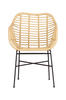 Puutarhatuolit polyrottinkia, 4 kpl