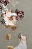 Juliste Pet Couture 2