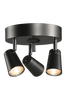 TIWI 3 spotlight