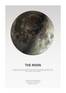 Juliste The Moon Light