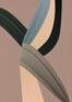 Juliste Fibers 5