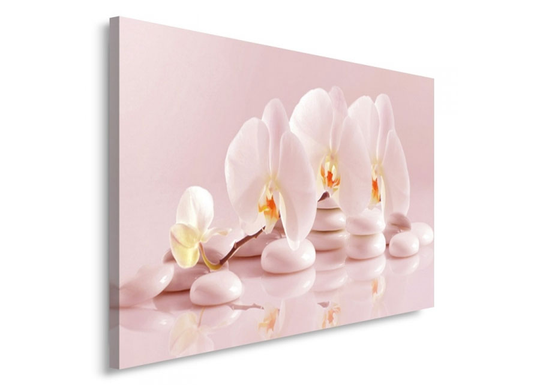 Taulu Orchid 40x50 cm