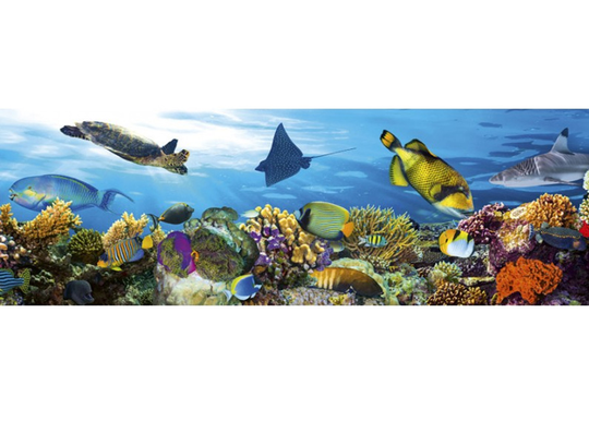 Keittiön välitila Fish 350x60 cm