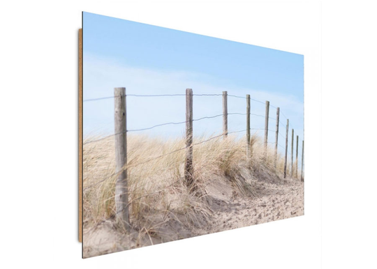 Taulu Seaside dune 80x120 cm
