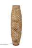 Lattiavalaisin Izolde