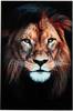 Taulu Lion