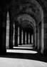 Juliste Walkaway