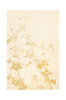 Juliste Pure Nature 1