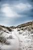 Juliste The path