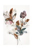 Juliste Playing Flower 1