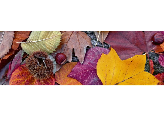 Keittiön välitila Autumn Leaves 260x60 cm