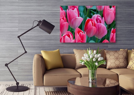 TauluPink tulips 80x120 cm