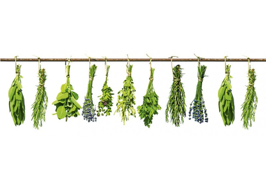 Keittiön välitila Herbs 180x60 cm