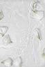 Juliste White roses