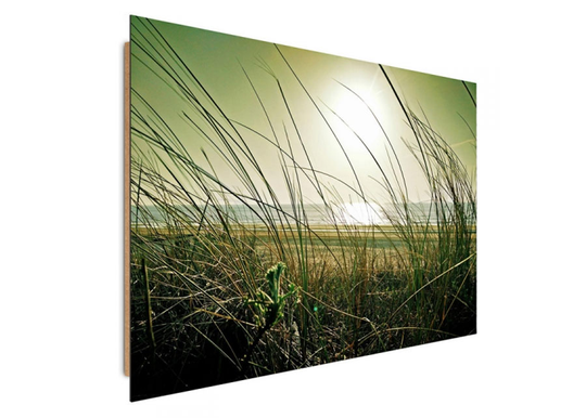 Taulu Coastal grass 40x50 cm