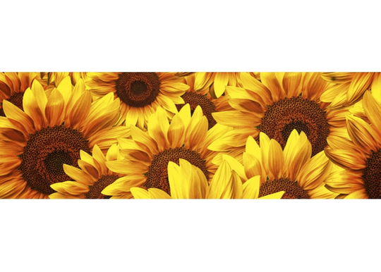 Keittiön välitila Helianthus 350x60 cm