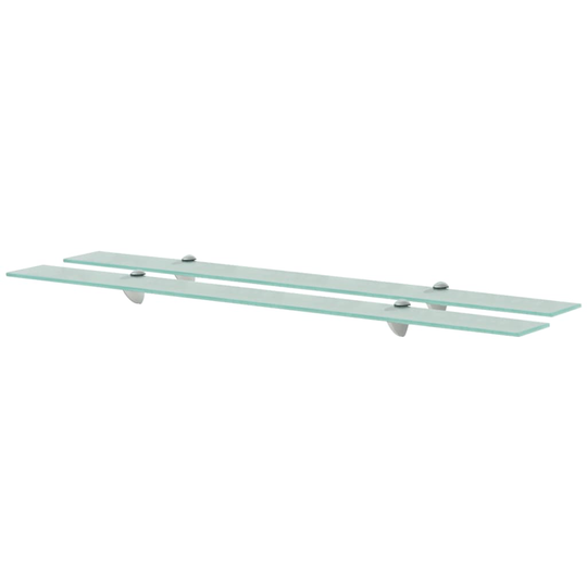vidaXL Kelluvat hyllyt 2 kpl lasi 100x10 cm 8 mm