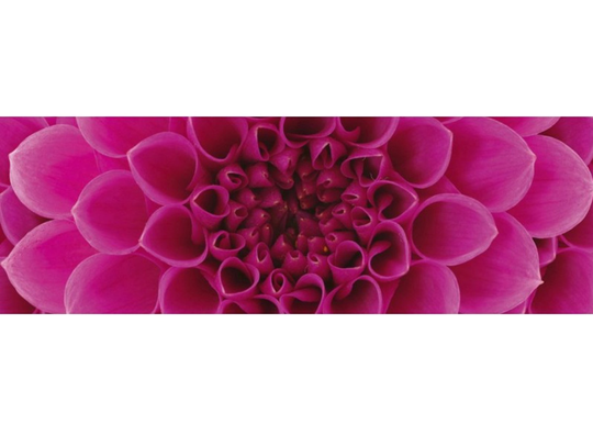 Keittiön välitila Pink dahlia 260x60 cm
