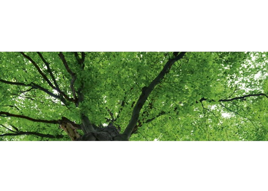 Keittiön välitila Treetop 180x60 cm