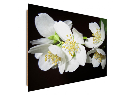 Taulu Flowering trees 30x40 cm