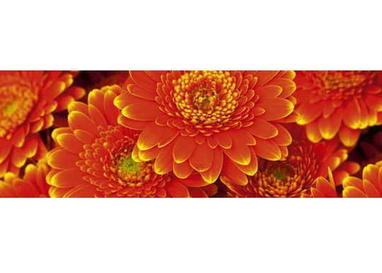 Keittiön välitila Gerbera 350x60 cm