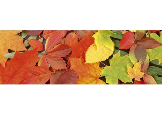 Keittiön välitila Leaves 260x60 cm