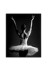 Taulu Photo Ballet