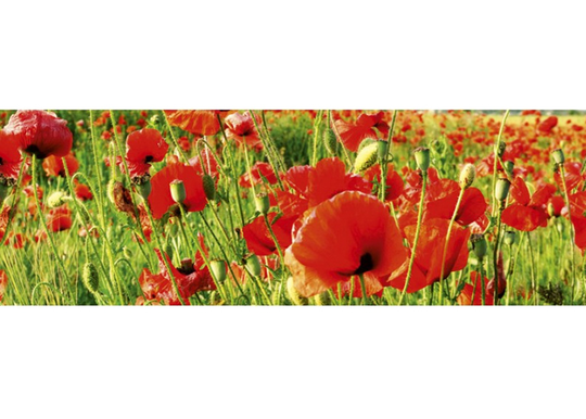 Keittiön välitila Red poppies 260x60 cm