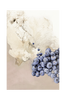 Juliste The Art of taste 6