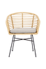 Puutarhatuolit polyrottinkia, pehmusteet, 4 kpl
