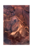 Juliste Elements 2