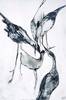 Juliste Crane 2