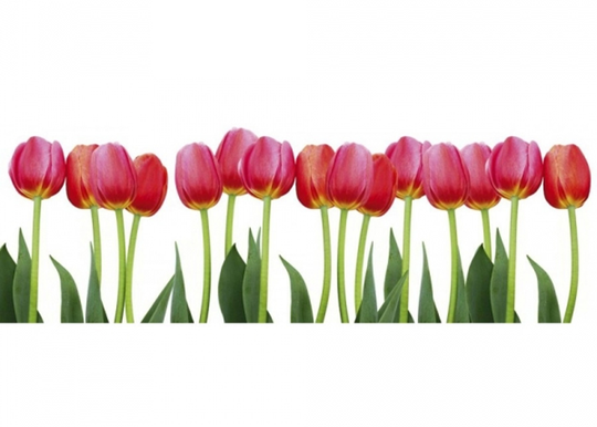 Keittiön välitila Bed of Tulips 180x60 cm