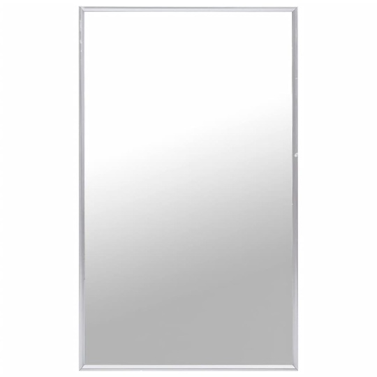vidaXL Peili hopea 100x60 cm