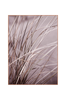 Taulu Spec. Mellow grasses 1