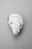 Juliste Oyster 2