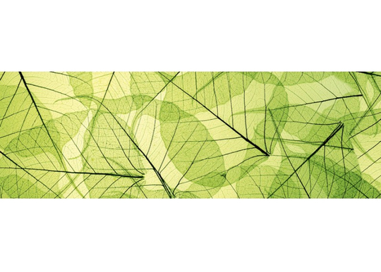 Keittiön välitila Leaf veins 180x60 cm