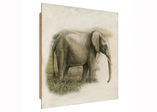 Taulu Painted Elephant 3D 30x30 cm