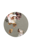 Taulu Pet Couture 2