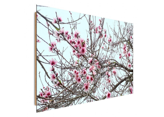Taulu Flowering trees 50x70 cm