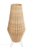 Lattiavalaisin Kamaria